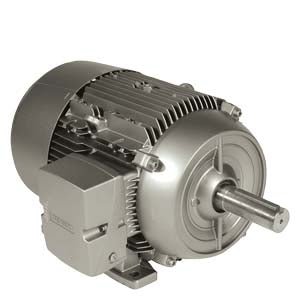 1LE2121-2BA21-4AA3 Siemens